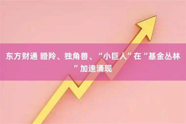 东方财通 瞪羚、独角兽、“小巨人”在“基金丛林”加速涌现