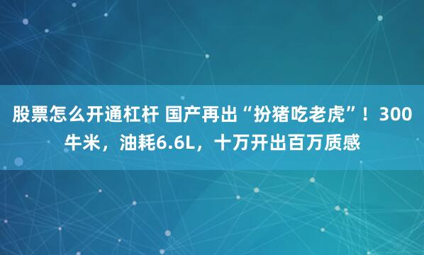 股票怎么开通杠杆 国产再出“扮猪吃老虎”！300牛米，油耗6.6L，十万开出百万质感