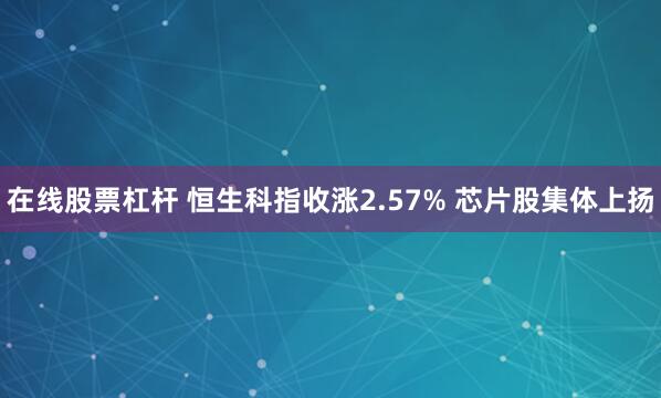 在线股票杠杆 恒生科指收涨2.57% 芯片股集体上扬